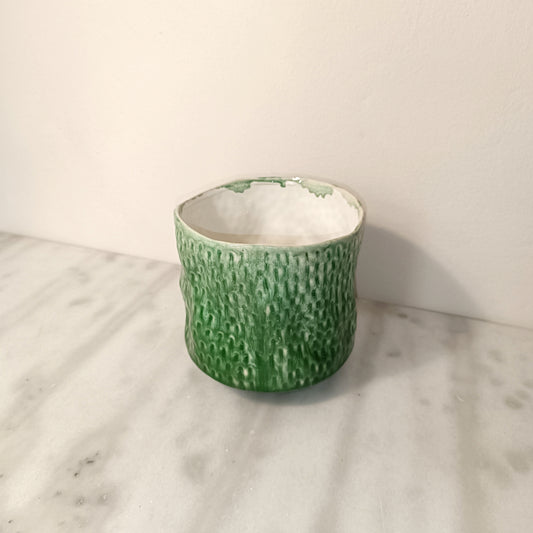 Cactus texture vase