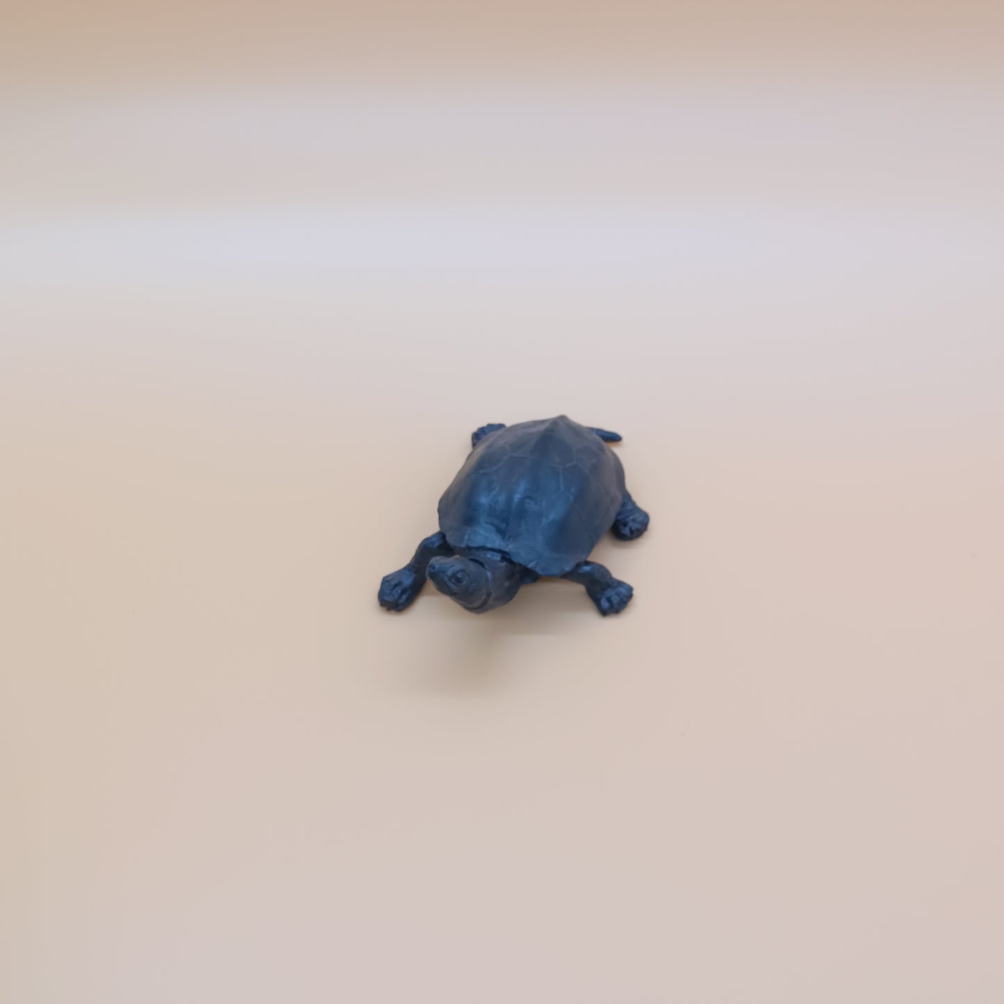 Tonka Turtle