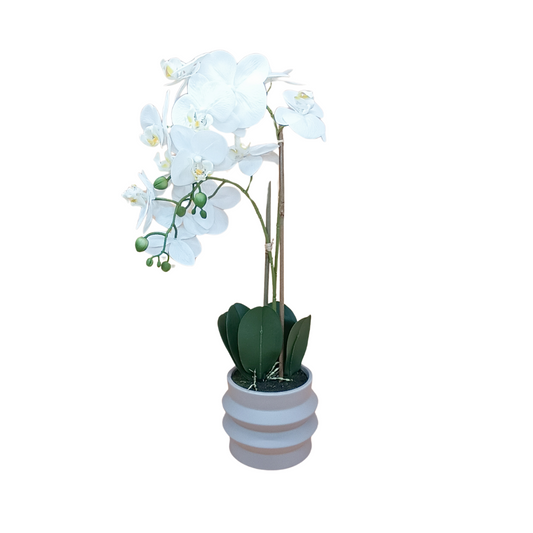 White Orchid & Ripple Pot