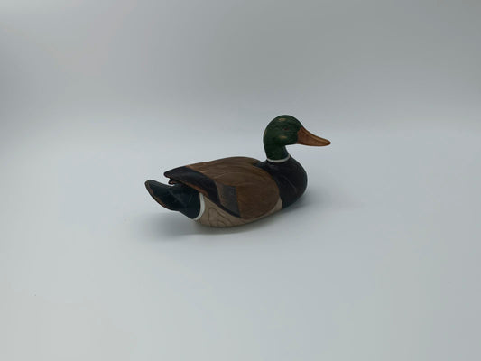 Cleopatra Duck